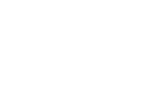 RFLMODS
